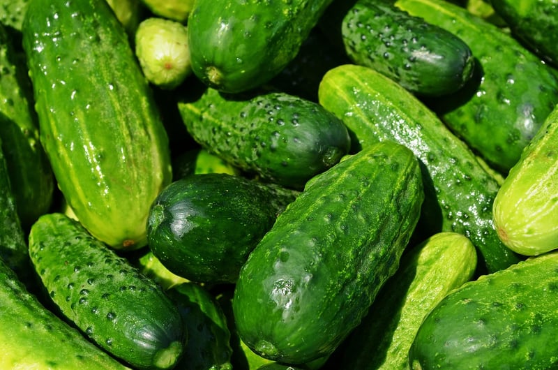 Garden Fresh Delights