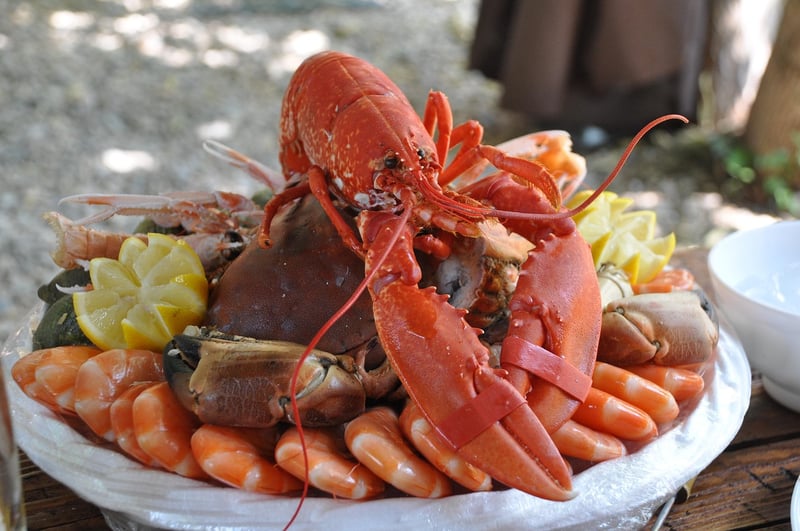Seafood Extravaganza